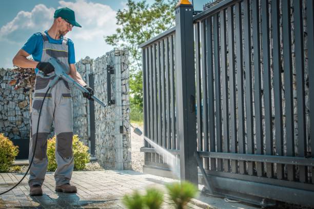 Best Solar Panel Cleaning  in Forty Fort, PA